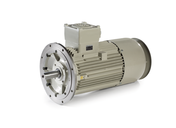 ADDA防爆三相異步電動機PE系列